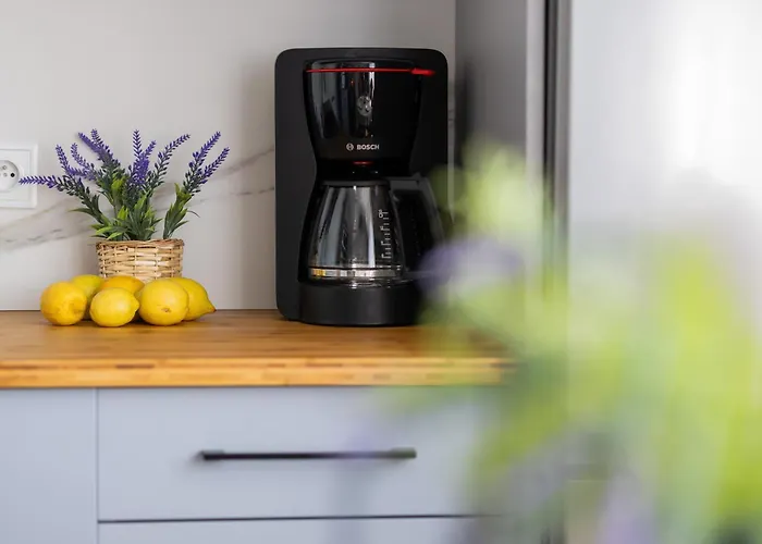 Apartament Spacious Close To Warsaw For 5 People By Renters